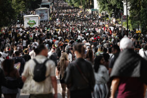 IMMIGRATION POLICY 2025 – 15-point plan to end and reverse mass immigration